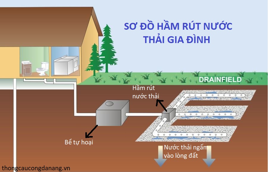 so do ham rut nuoc thai